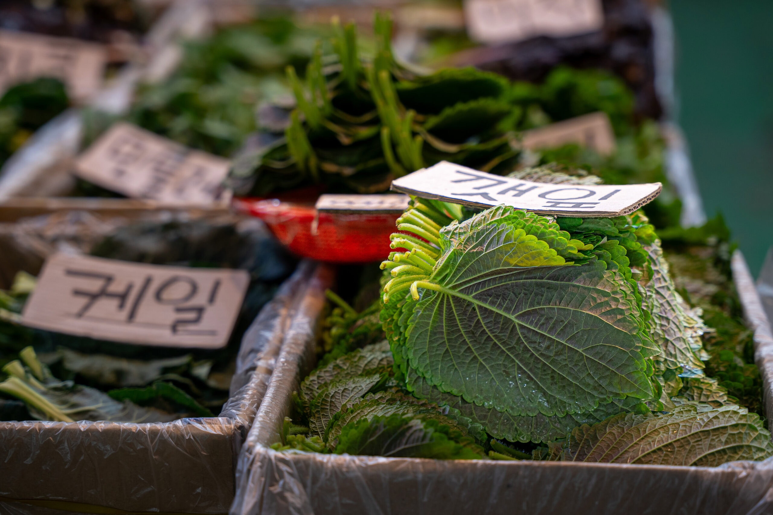 perilla leaves in a box