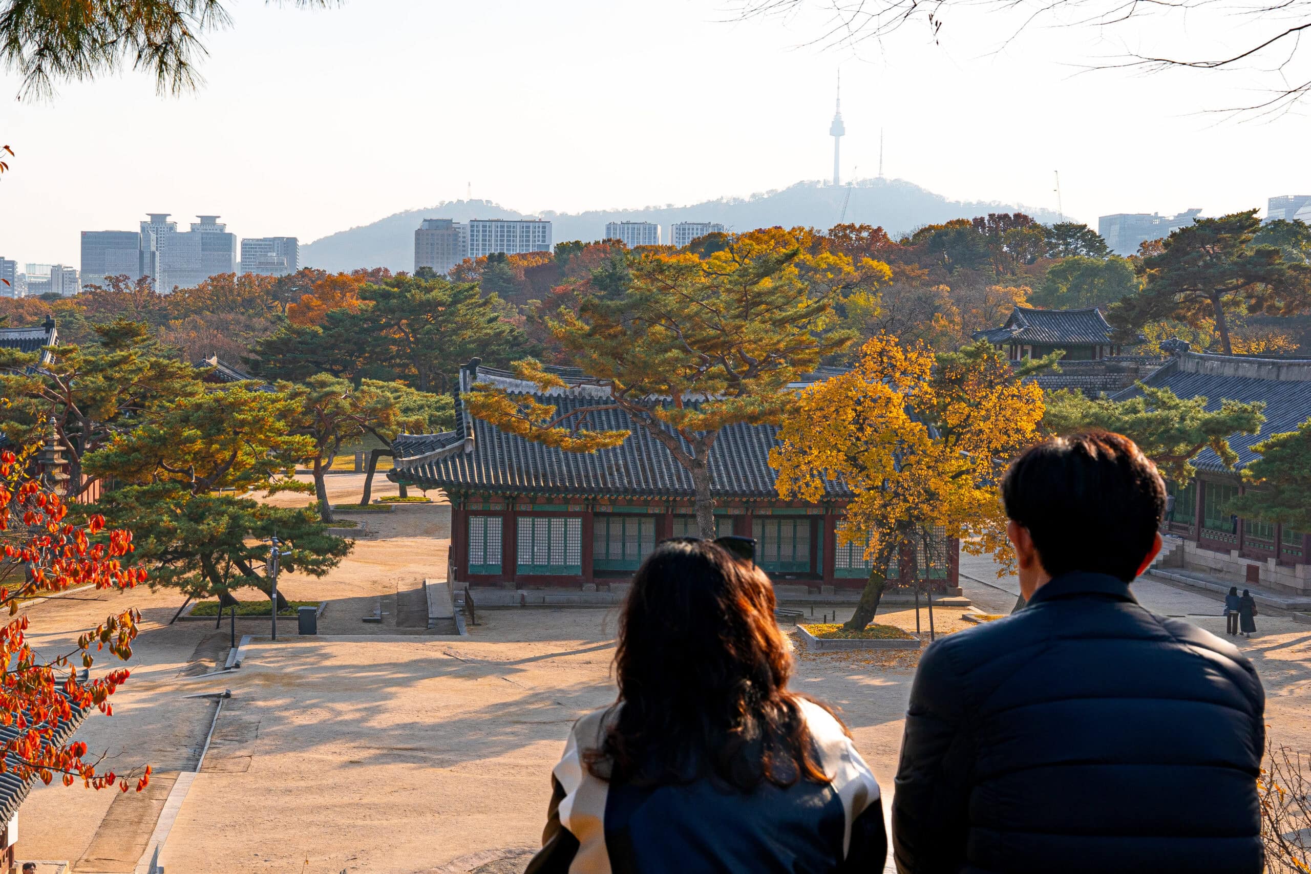 A couple looks out over Changgyeonggung Palace, with the N Seoul tower in the back ground.