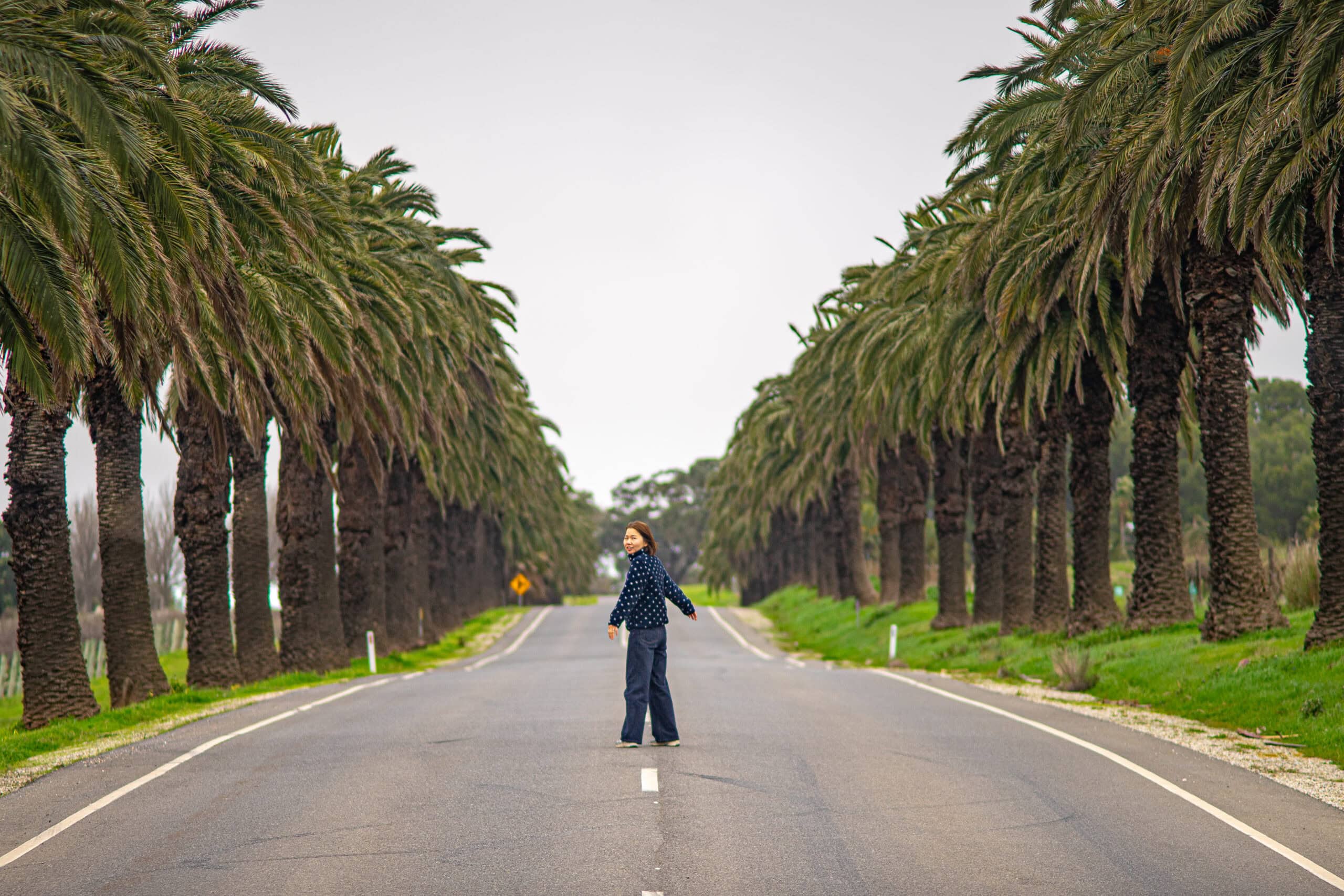 Jin standing in the middle of Seppeltsfield Road (also called Avenue of Palms) lined by thousands of Canary Island date palms. This was a very beautiful stop on our Barossa day trip from Adelaide