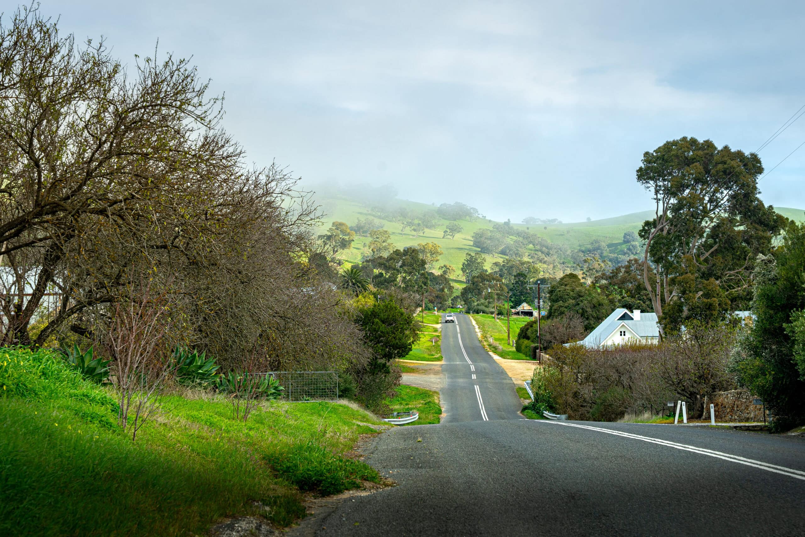 A straight, narrow road lead to fog covered hills in the Barossa Valley/ The landscape is green, typical of the Barossa in winter