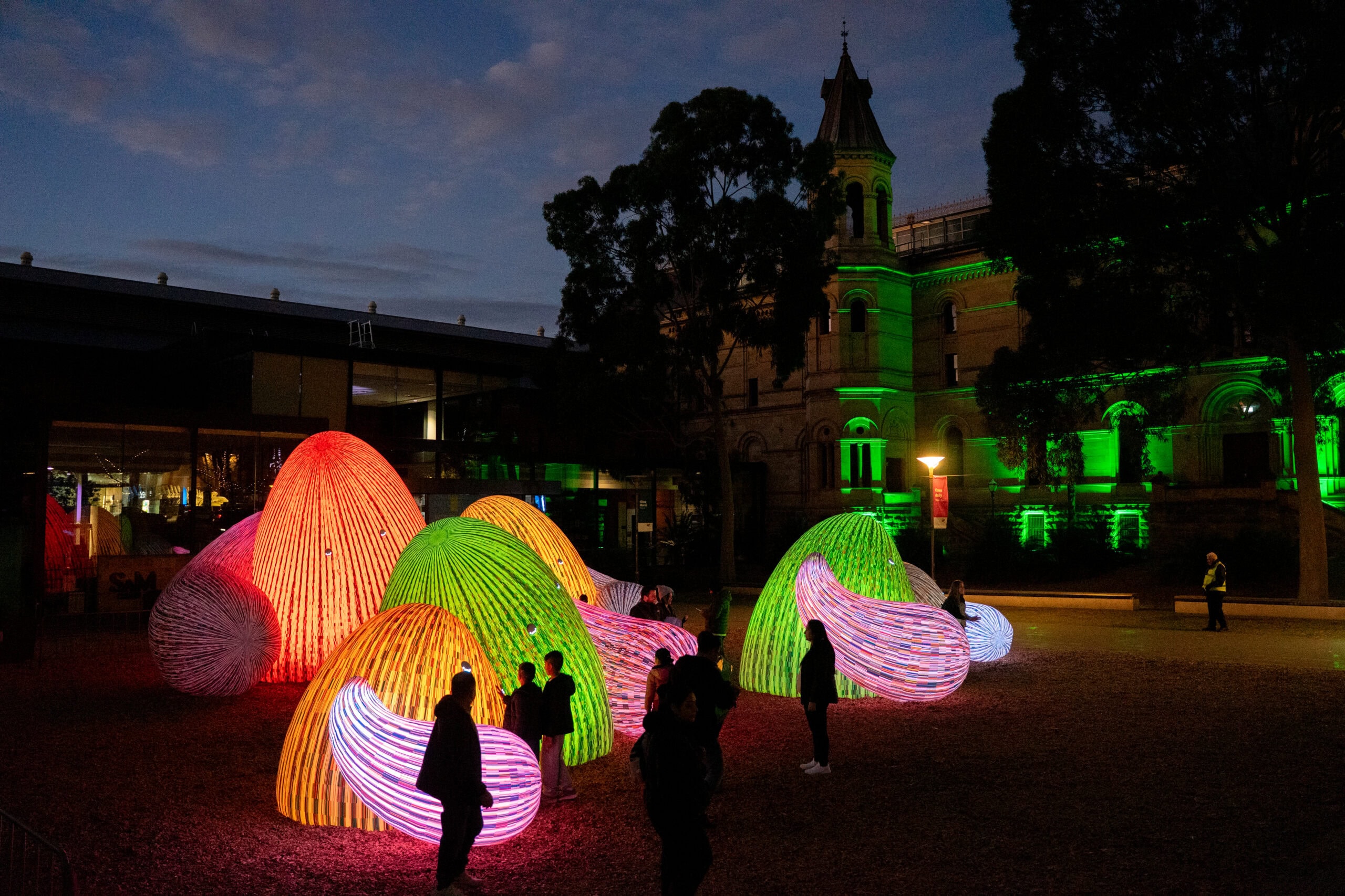 Illuminate Adelaide installations in the CBD at night