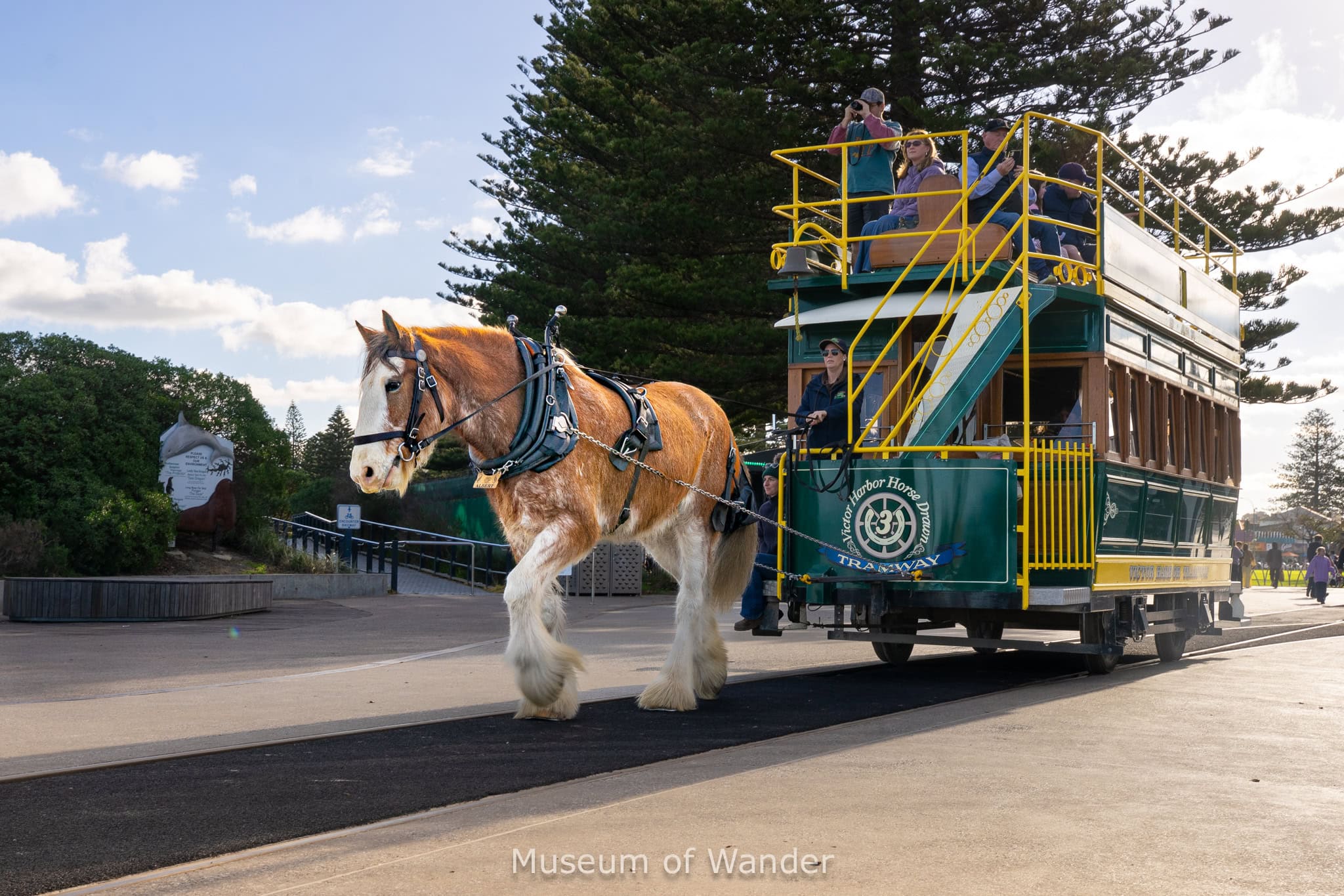 A brown and white Clydesdale horse pulls the double decker tram across the causeway to Granite Island in Victor Harbor, South Australia