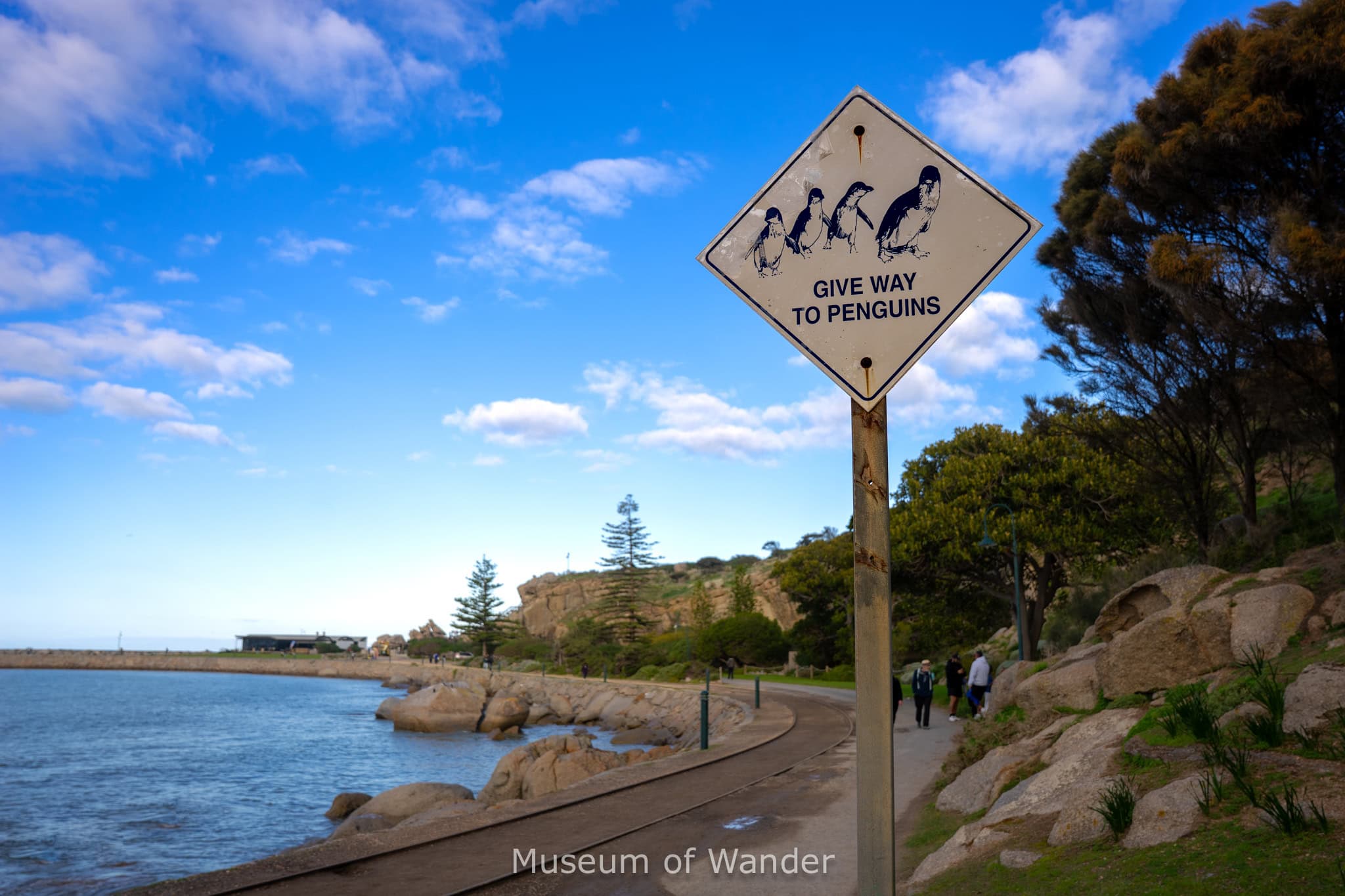 A sign saying penguins have right of way that we saw on Granite Island in Victor Harbor
