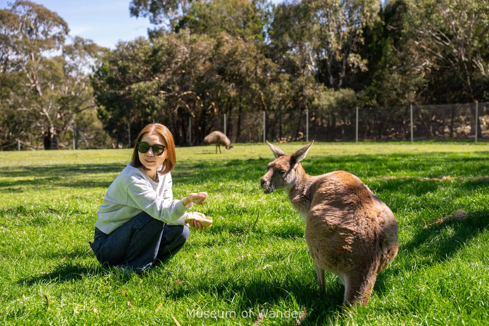 Cleland Wildlife Park Review