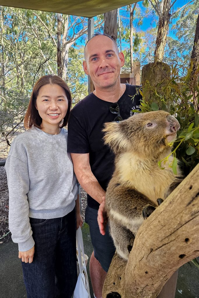 A phone photo the park ranger took of Jin and I during the Koala close up experience at Cleland Wildlife Park