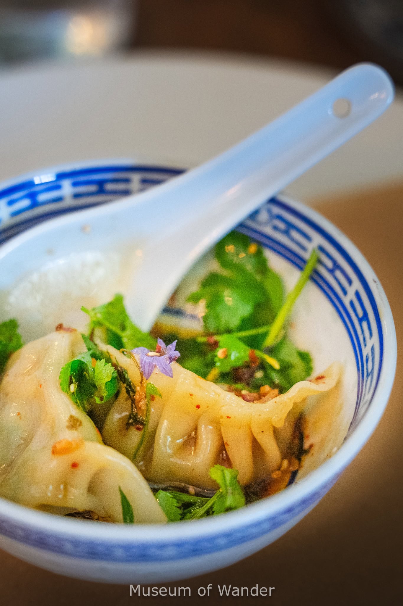 Two dumplings in a small blue and white chinese bowl. These dumplings were delicious