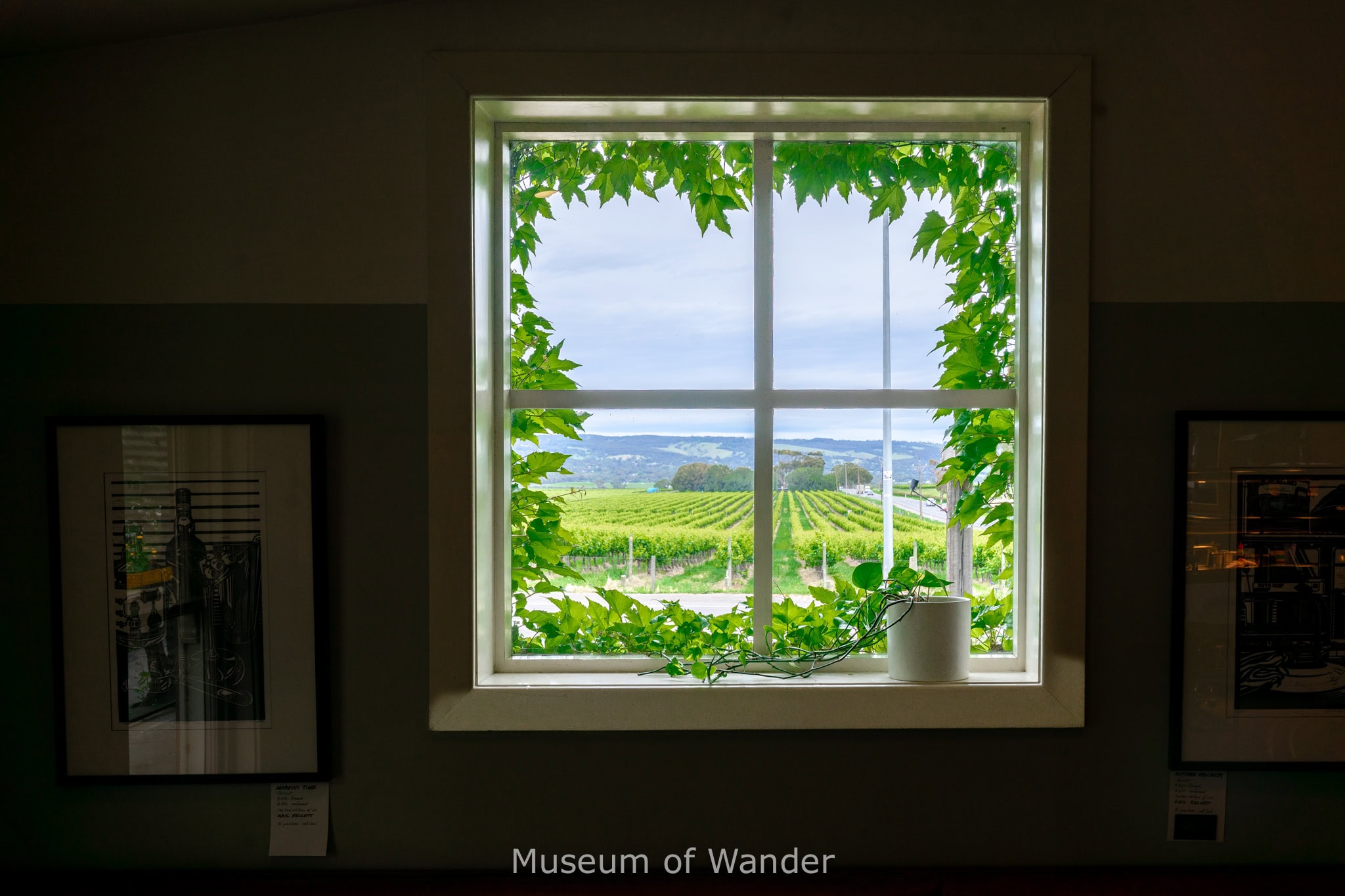 The view toward the vineyards through the window inside the Salopian inn