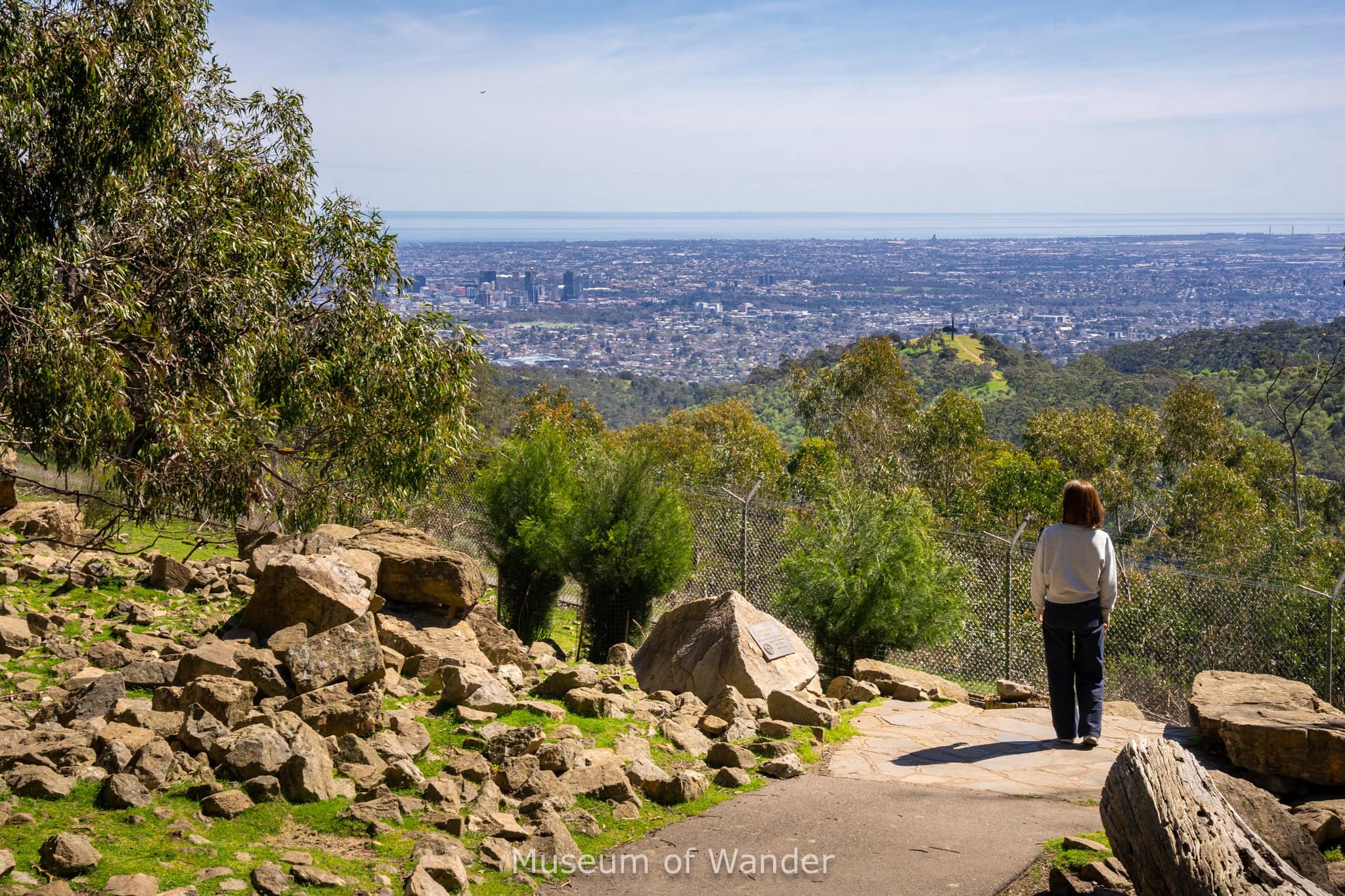 Jin overlooks Adelaide from. aviewpoint at Cleland Wildlife Park